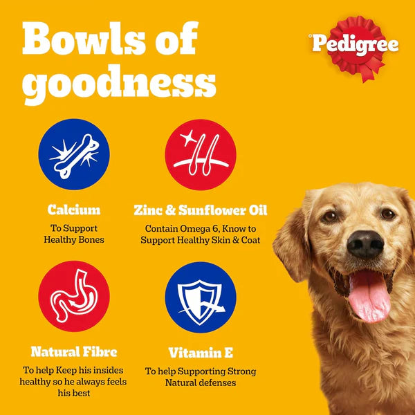 Pedigree Chicken Chunks in Gravy Wet Dog Food - 400G