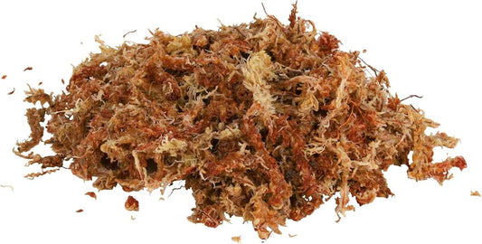 Trixie Sphagnum Moss
