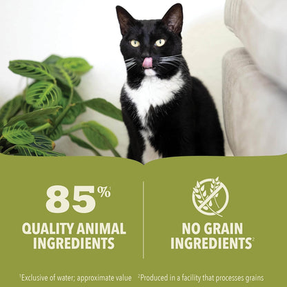 Acana Premium Lamb Pate Cat Wet Food 85G