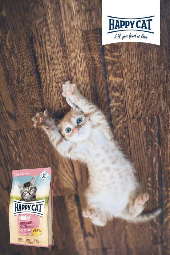 Happy Cat 70407 – Happy Cat Minkas Kitten Care Pluimvee – droogvoer voor kattenpuppy's 5 weken tot 6 maanden – 1,5 kg inhoud Happy Cat 70407 – Happy Cat Minkas Kitten Care Pluimvee – droogvoer voor kattenpuppy's 5 weken tot 6 maanden – 1,5 kg inhoud