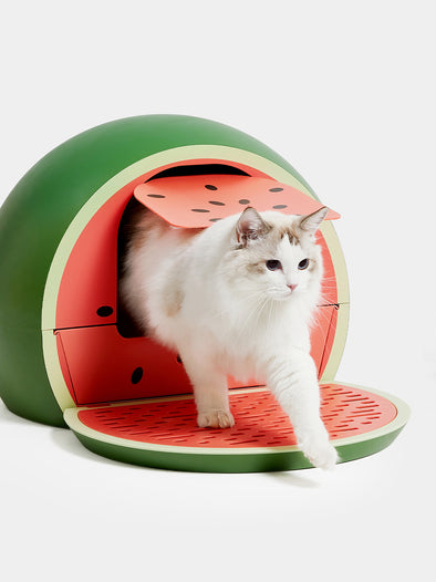 Watermelon Kitty Kove