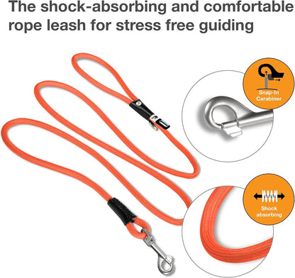 Curli Stretch Comfort Leash for Dogs - Medium