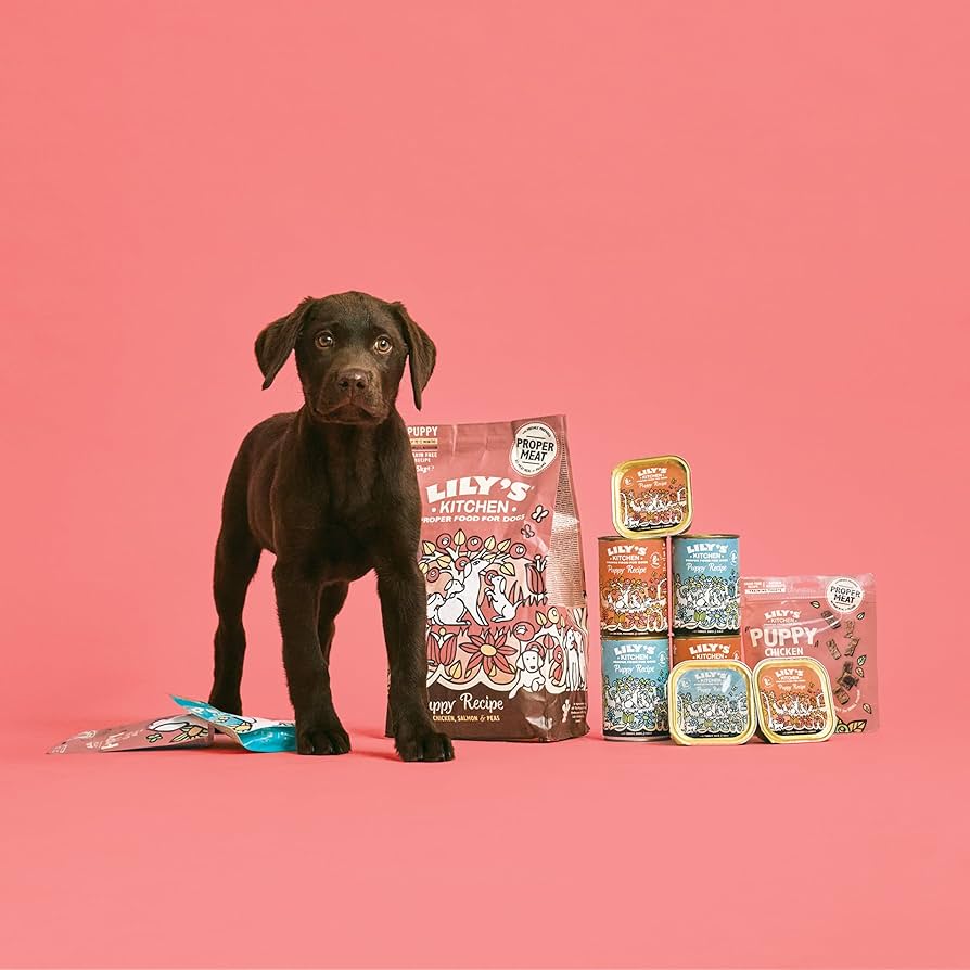 Lily's Kitchen Chicken and Salmon Nibbles Puppy Treats 70G