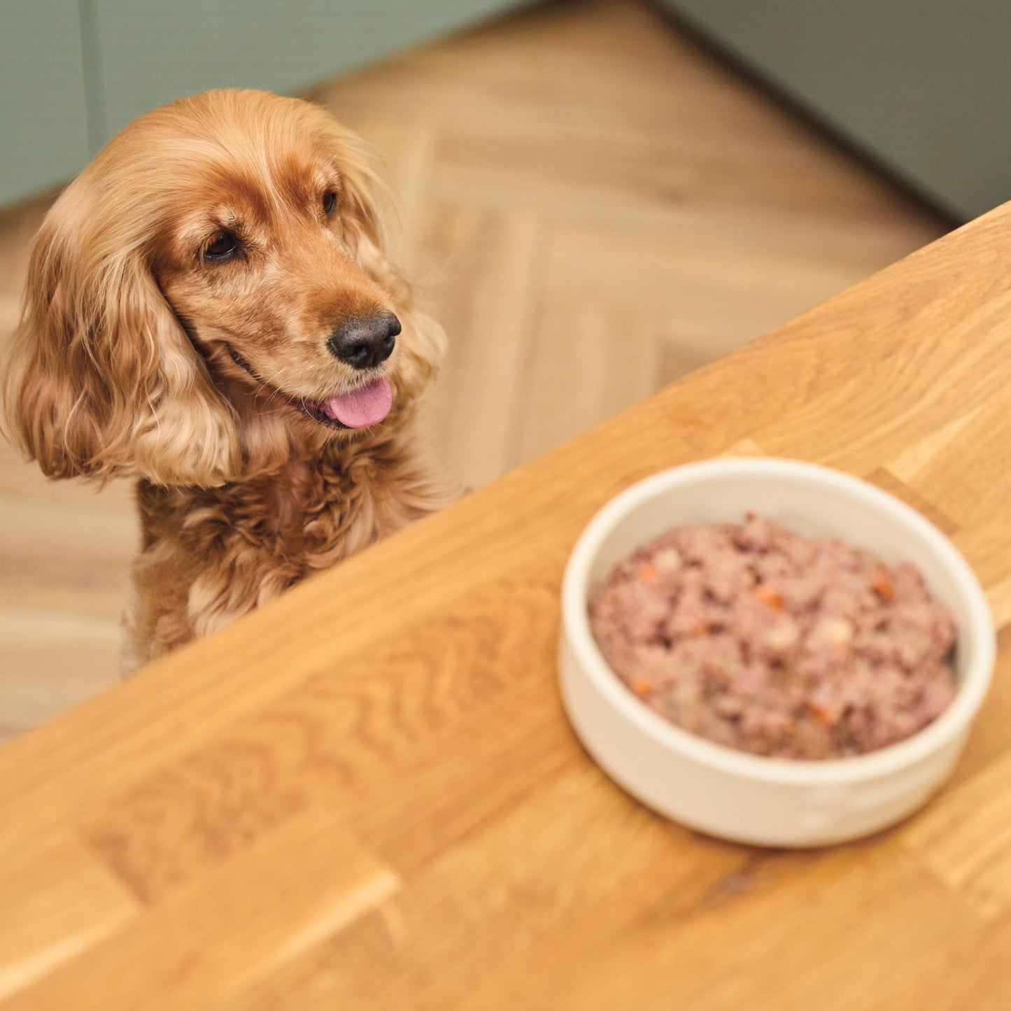 Lily's Kitchen Great British Breakfast Wet Dog Food 400G