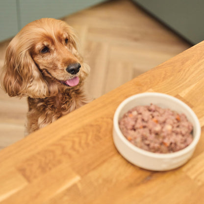 Lily's Kitchen Great British Breakfast Wet Dog Food 400G