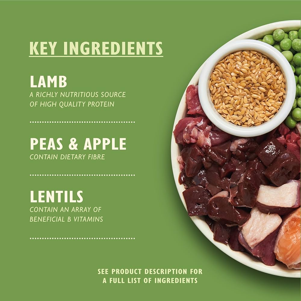 Lily's Kitchen Adult Shepherd's Pie with Lamb Potatoes & Parsley Adult Dry Dog Food-7kg