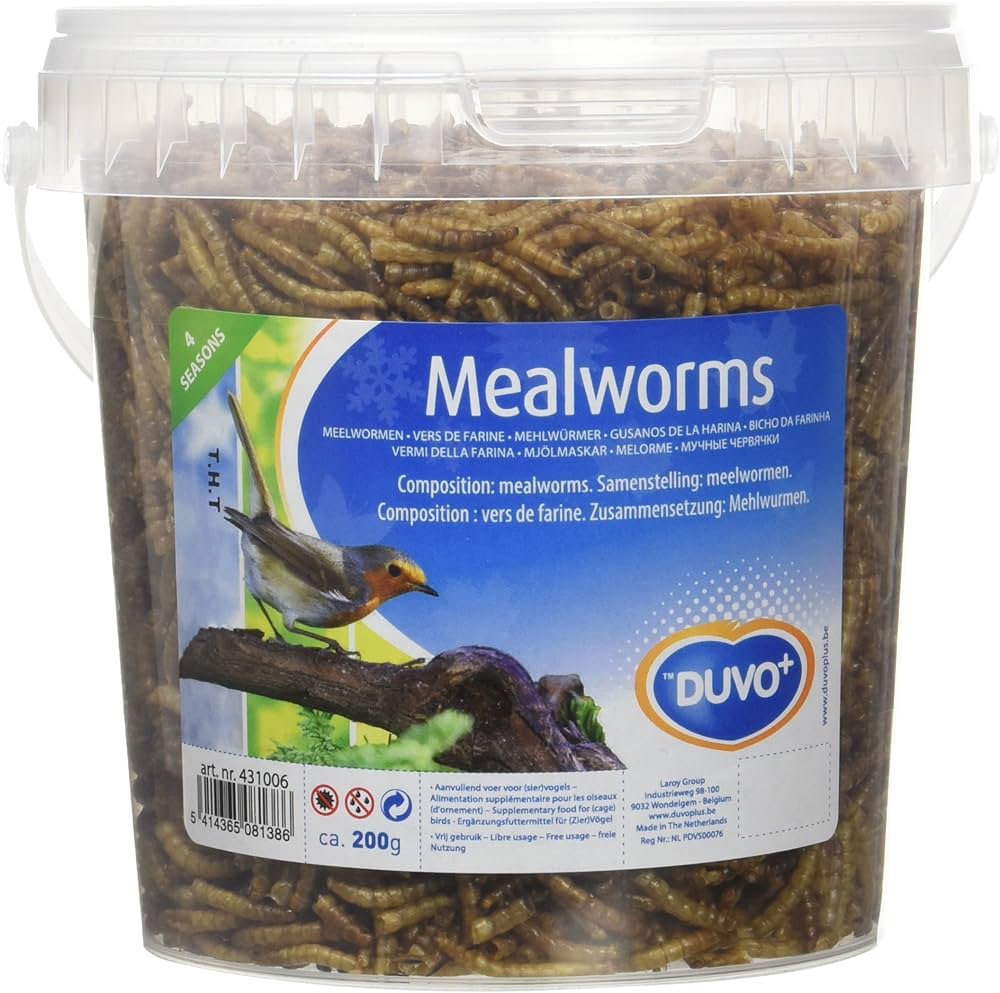 Duvo+ Meal Worms Bucket (200g)