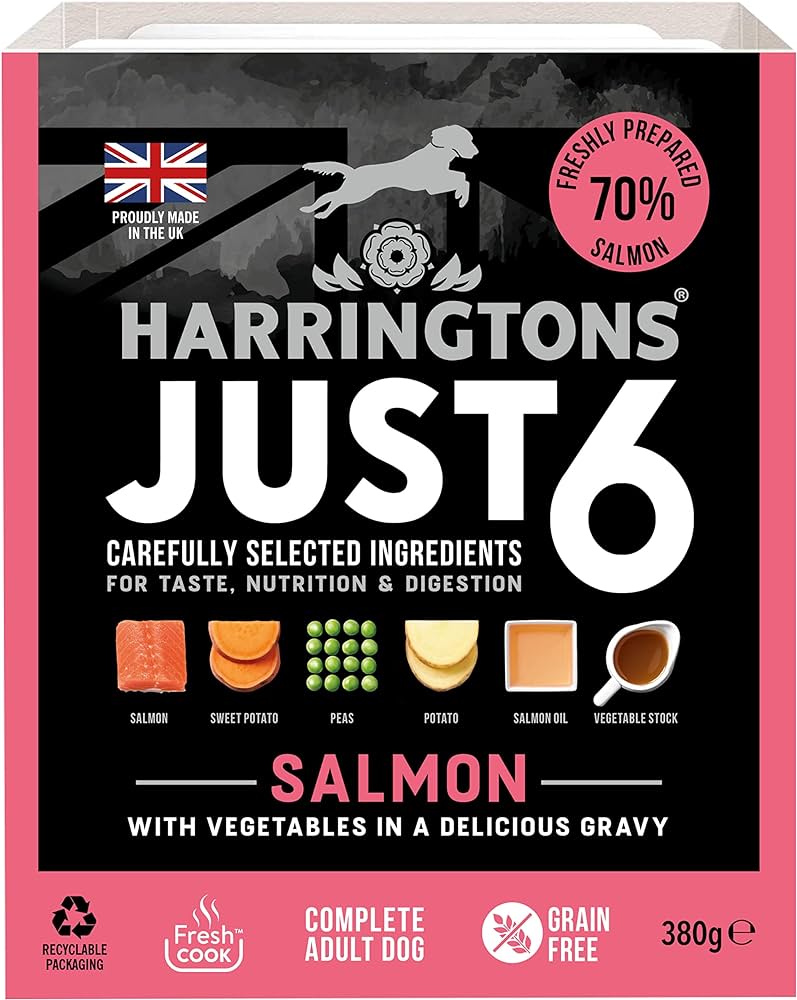 Just 6 Salmon Grain Free Wet Dog Food - 380g