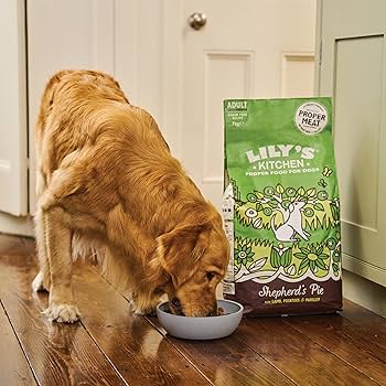 Lily's Kitchen Adult Shepherd's Pie with Lamb Potatoes & Parsley Adult Dry Dog Food-7kg