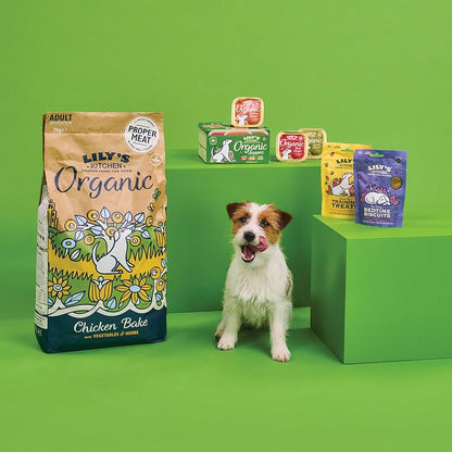 Lily's Kitchen Organic Chicken Bake with Vegetable & Herb Adult Dry Dog Food 2.5kg