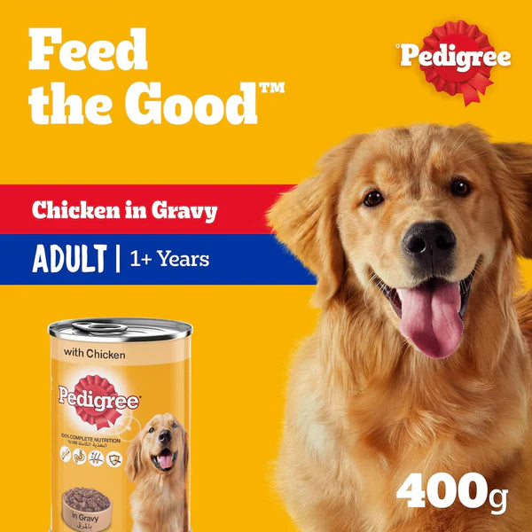 Pedigree Chicken Chunks in Gravy Wet Dog Food - 400G