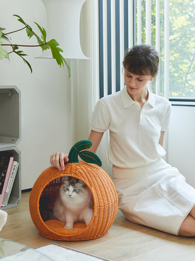 Tangerine Rattan Pet Bed