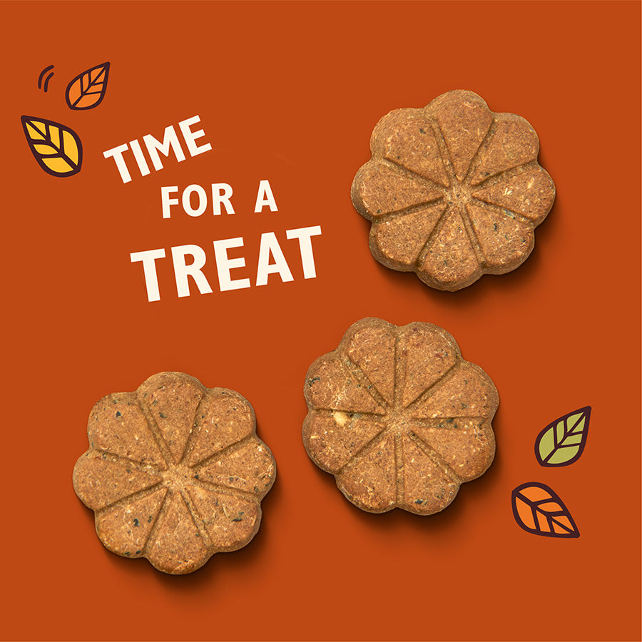 Lily's Kitchen Breaktime Biscuits Dog Treats 80G