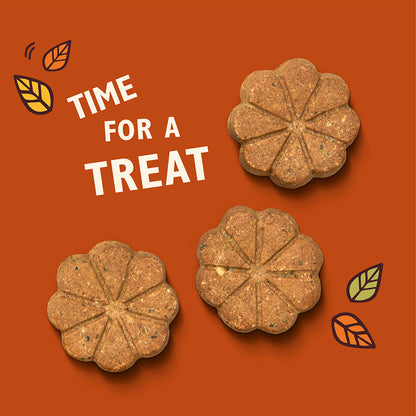 Lily's Kitchen Breaktime Biscuits Dog Treats 80G