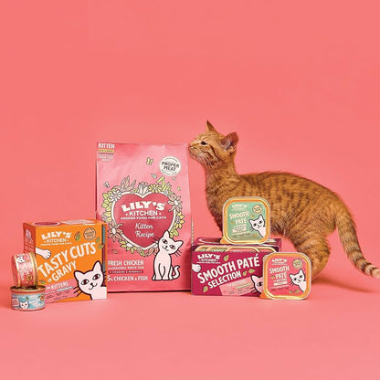 Lily's Kitchen Chicken & White Fish Kitten Dry Food 800gms
