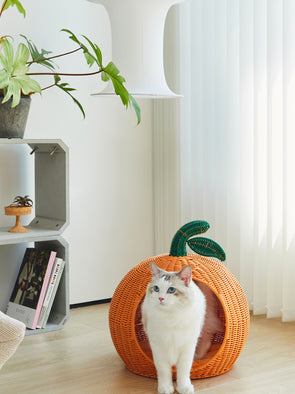 Tangerine Rattan Pet Bed