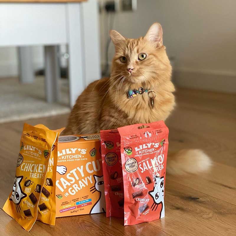 Lily's Kitchen Salmon Pillow Cat Treats 60G