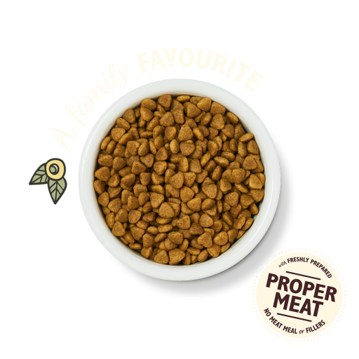 Lily's Kitchen Chicken Casserole Dry Cat Food -2kg