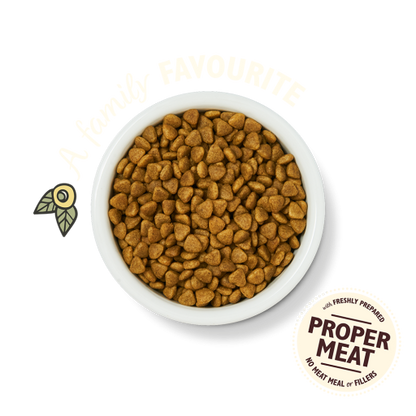 Lily's Kitchen Chicken Casserole Dry Cat Food -2kg