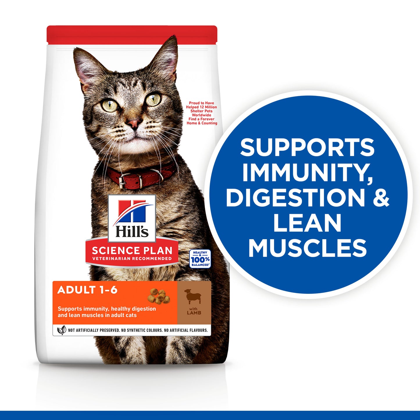 Hill's science plan Adult Cat Food with Lamb (Near Expiry)