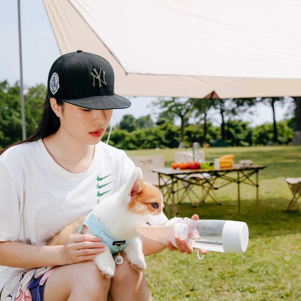 Dogness Water Bottle With Food Storage