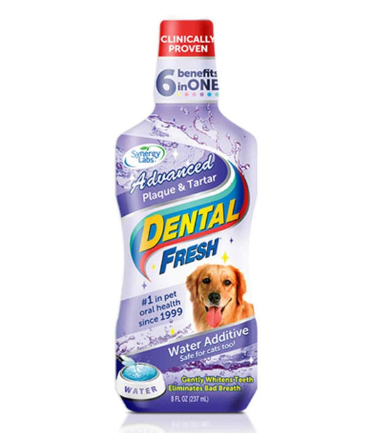 Synergy Labs Dental Fresh Plaque & Tartar for Dogs- 503ml