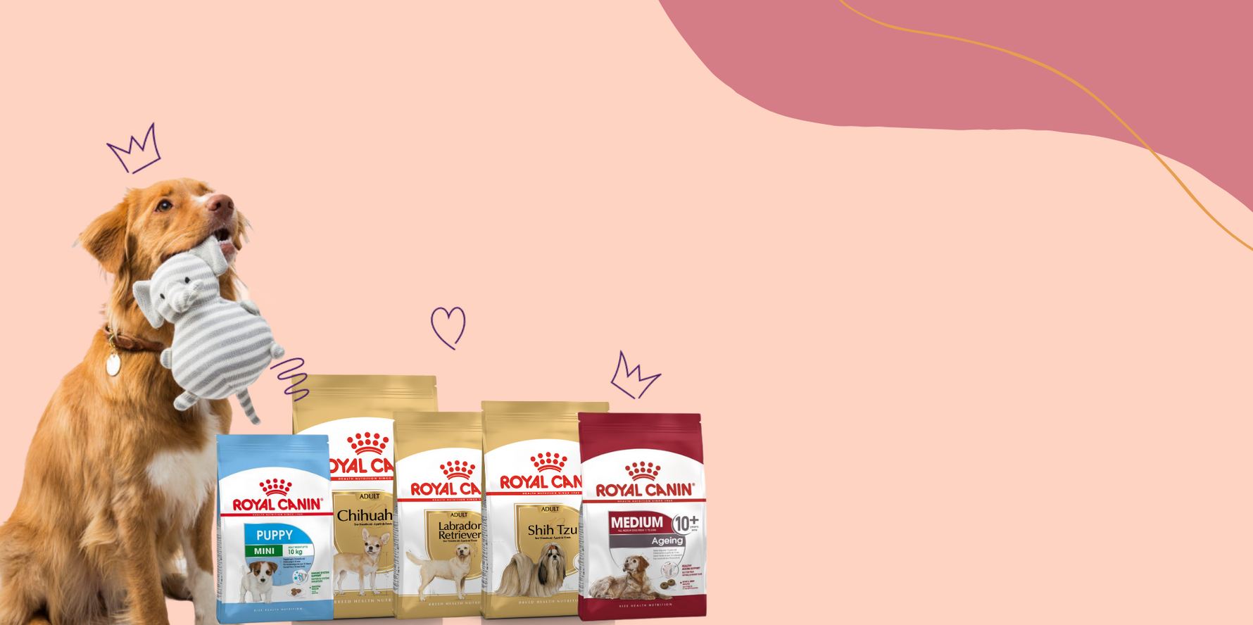 Buy Pet Food Online Pet Supplies at Best Prices Oman Maryam's Pet