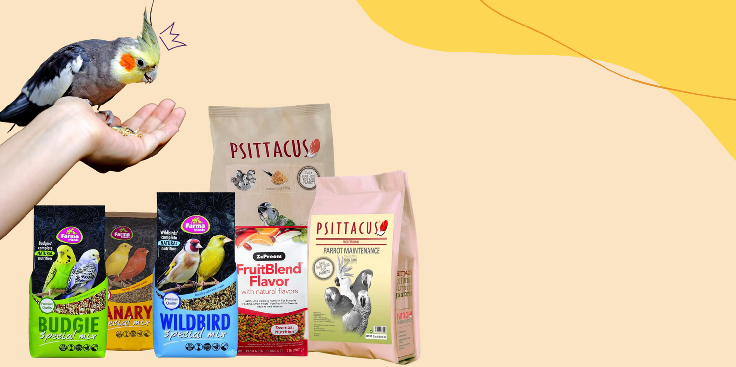 Buy Pet Food Online Pet Supplies at Best Prices Oman Maryam's Pet