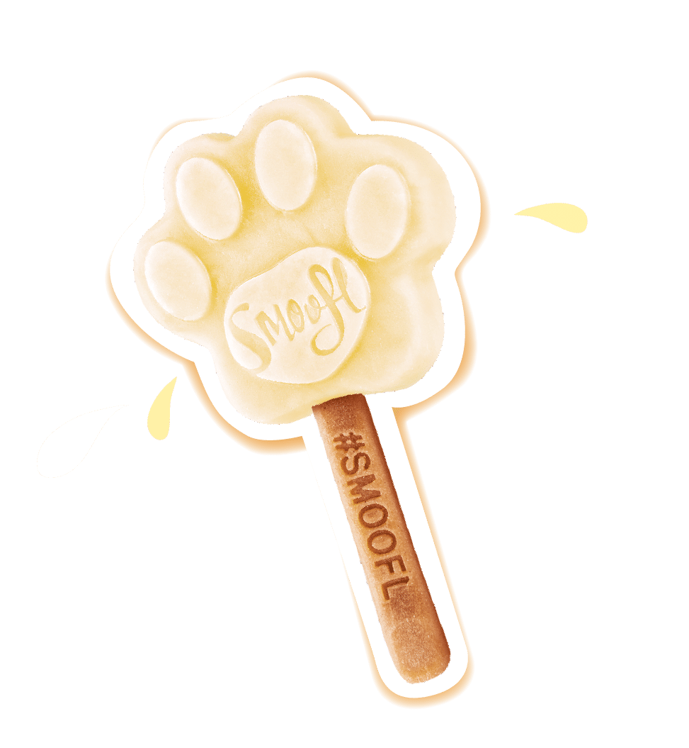 Smoofl Banana Mix for Dog Ice with 10pcs Chew Sticks - 105G