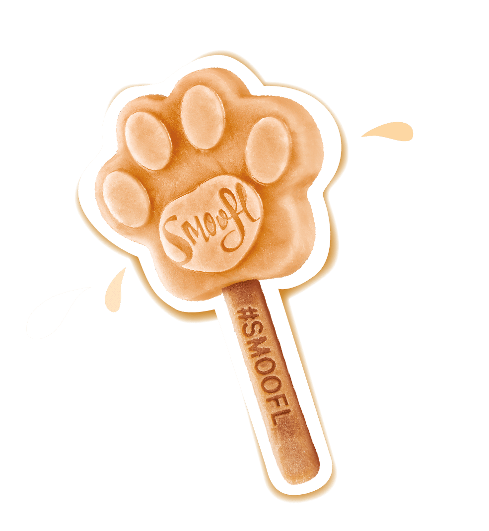 Smoofl Peanut Butter Mix for Dog Ice with 10pcs Chew Sticks - 105G