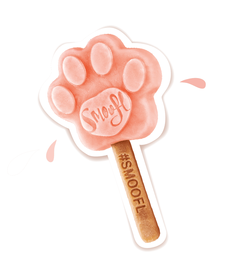 Smoofl Watermelon Mix for Dog Ice with 10pcs Chew Sticks - 105G