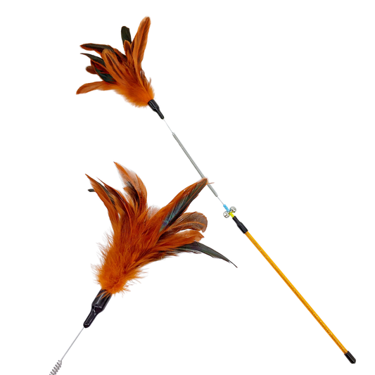 Catry Cat Toy