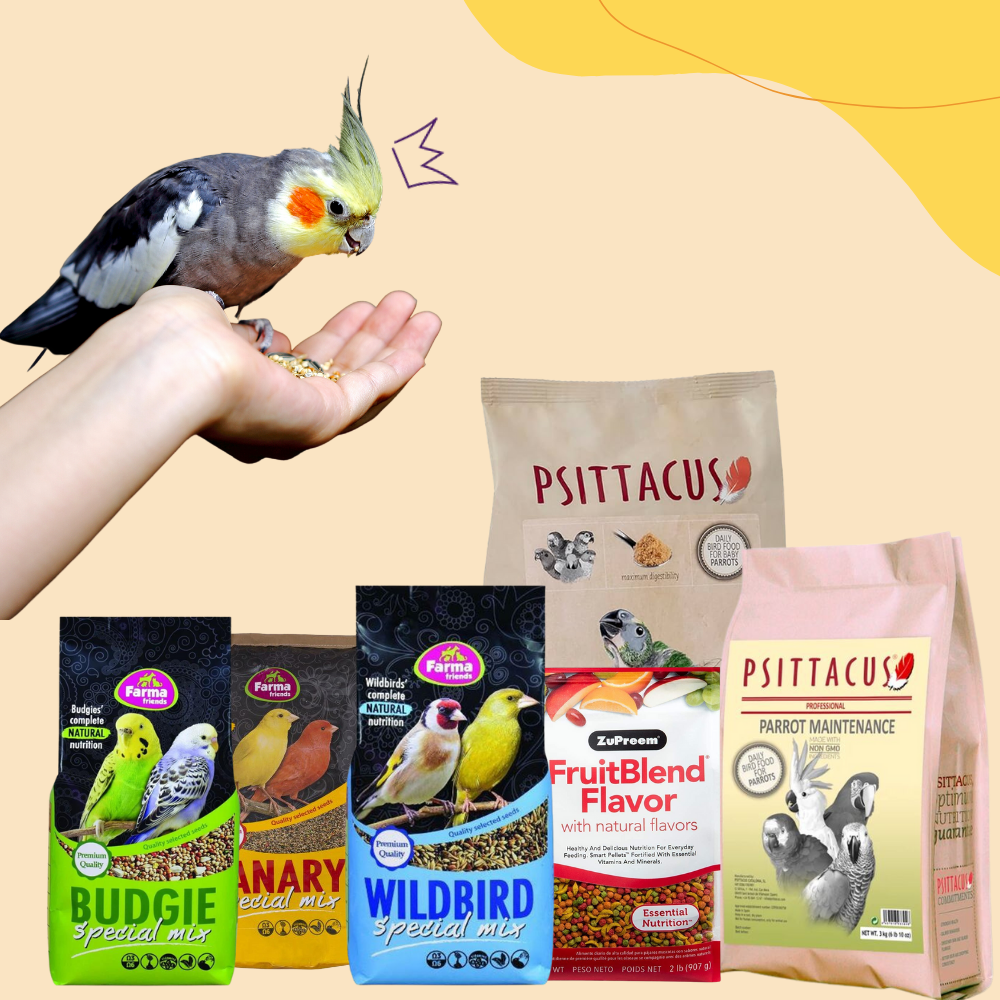 Buy Pet Food Online Pet Supplies at Best Prices Oman Maryam's Pet