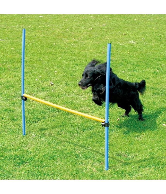 Paw Pals Agility Dog Training Hurdle