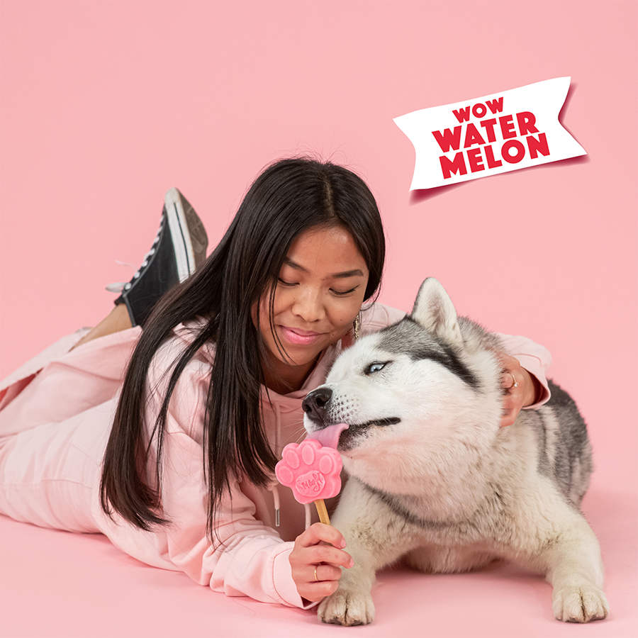 Smoofl Watermelon Mix for Dog Ice with 10pcs Chew Sticks - 105G