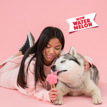 Smoofl Watermelon Mix for Dog Ice with 10pcs Chew Sticks - 105G