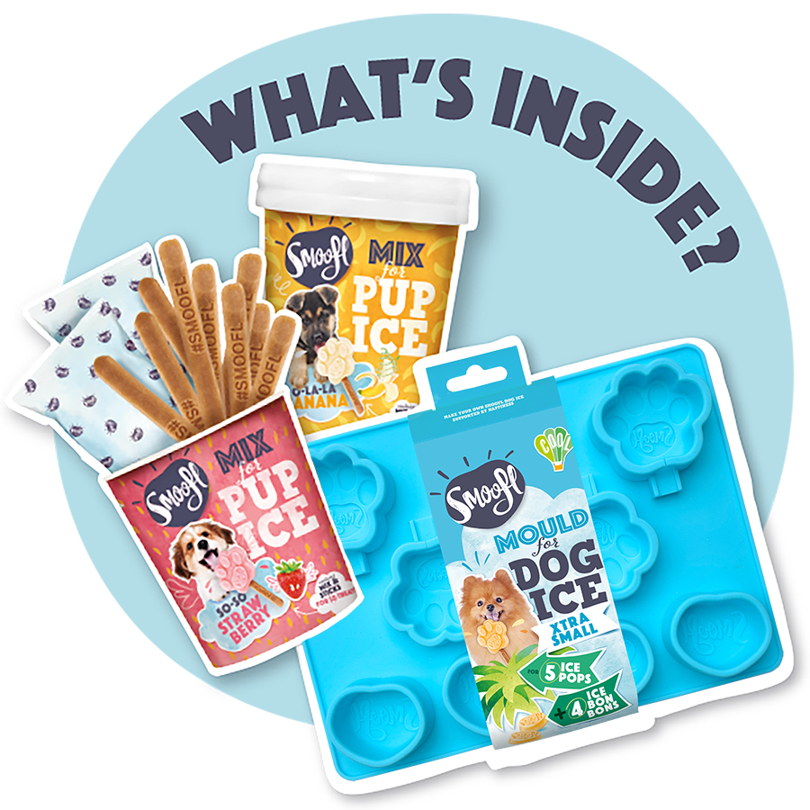 Smoofl Extra Small Starter Kit for Dog Ice Treats - 210G