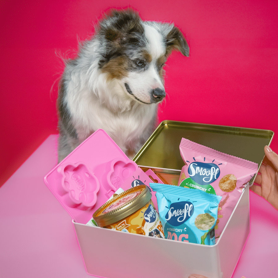 Smoofl Extra Small Starter Kit for Dog Ice Treats - 210G
