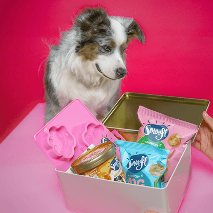 Smoofl Extra Small Starter Kit for Dog Ice Treats - 210G