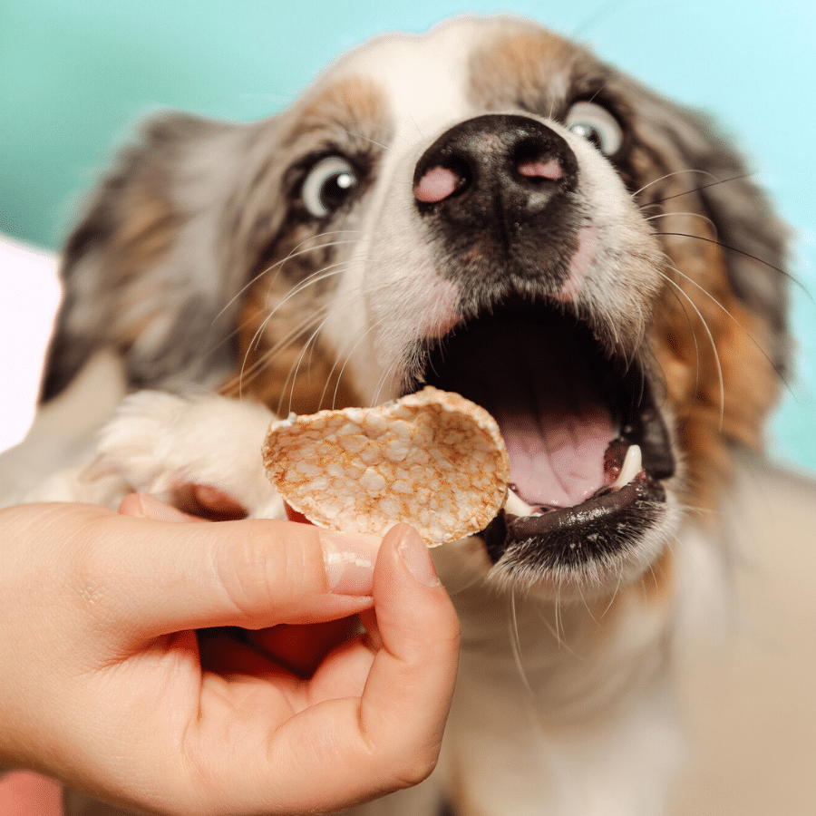 Smoofl Crunchy Mushroom & Rosemary Pops Dog Treats - 24G
