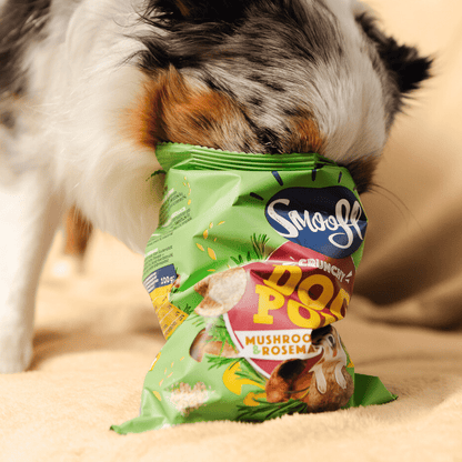 Smoofl Crunchy Mushroom & Rosemary Pops Dog Treats - 24G
