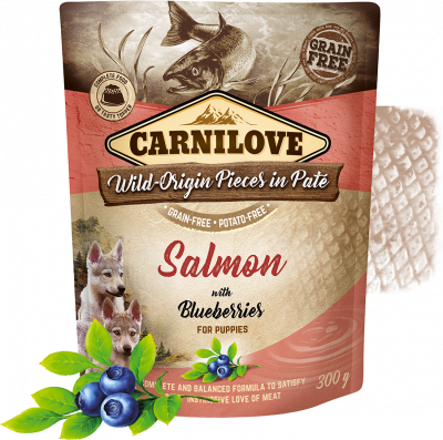 Carnilove Dog Pouch Paté Salmon with Blueberries for Puppies 300 g