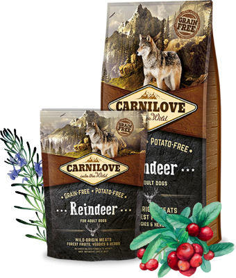 Carnilove Reindeer for Adult 12 kg