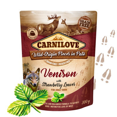 Carnilove Dog Pouch Paté Venison with Strawberry Leaves 300 g