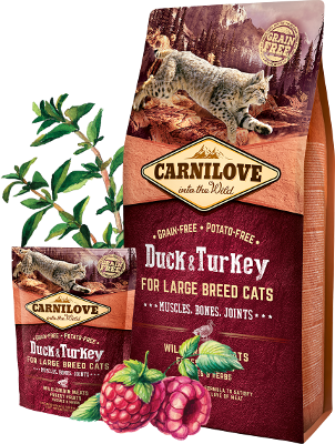 Carnilove Duck & Turkey for Large Breed Cats – Muscles, Bones, Joints 2 kg