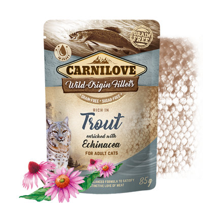 Carnilove cat pouch rich in Trout enriched with Echinacea 85 g