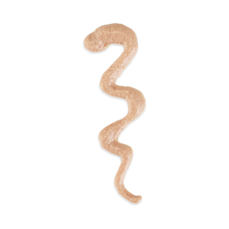 Schesir Stix Treat For Cat In Cream - Salmon