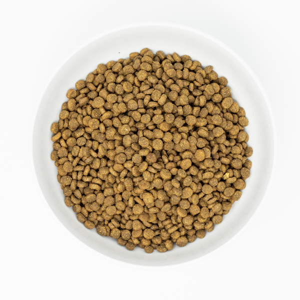 Stella & Chewy’s Cats Raw Coated Kitten Cage-Free Chicken Recipe 2.2Kg