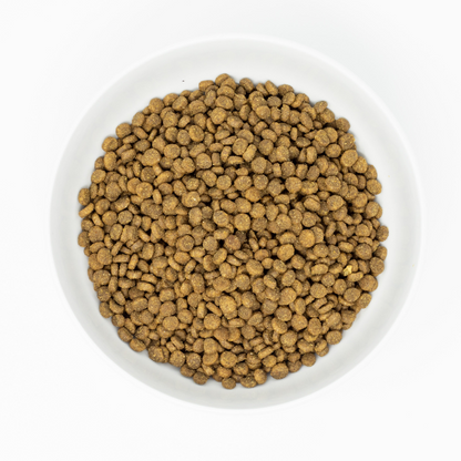 Stella & Chewy’s Cats Raw Coated Kitten Cage-Free Chicken Recipe 2.2Kg