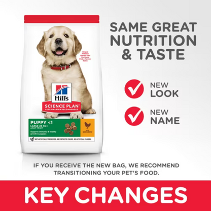 Hill's Science Plan Large Breed Puppy Food with Chicken